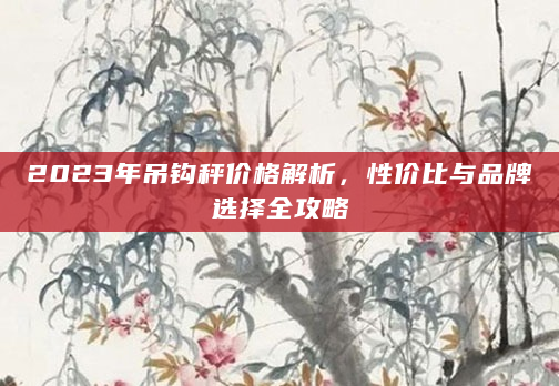 2023年吊钩秤价格解析，性价比与品牌选择全攻略