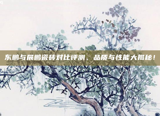 东鹏与展鹏瓷砖对比评测，品质与性能大揭秘！
