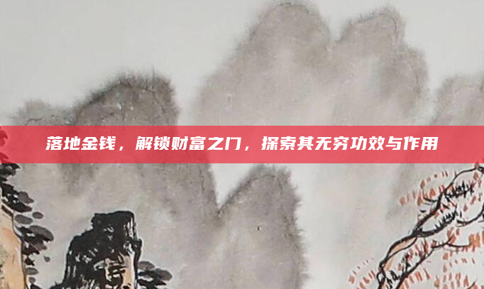 落地金钱，解锁财富之门，探索其无穷功效与作用