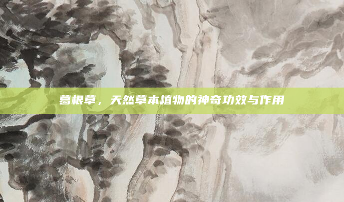 葛根草，天然草本植物的神奇功效与作用