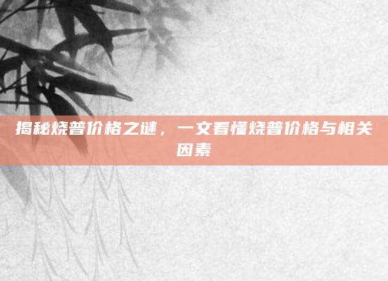 揭秘烧普价格之谜，一文看懂烧普价格与相关因素