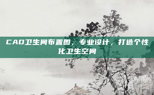 CAD卫生间布置图，专业设计，打造个性化卫生空间
