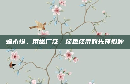 蜡木树，用途广泛，绿色经济的先锋树种