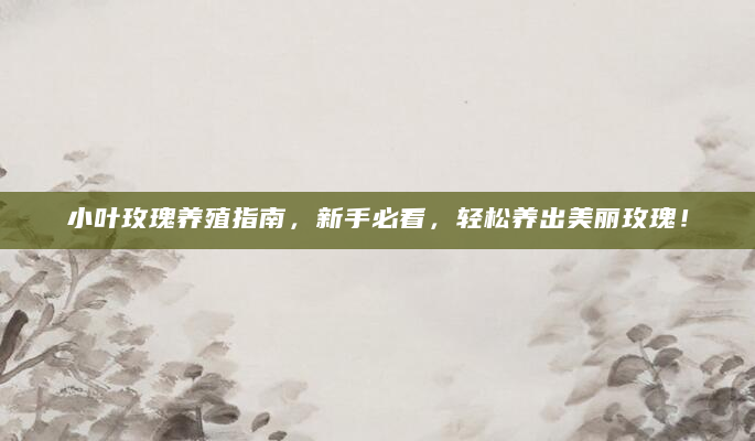 小叶玫瑰养殖指南，新手必看，轻松养出美丽玫瑰！