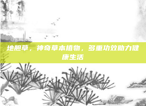 地胆草，神奇草本植物，多重功效助力健康生活