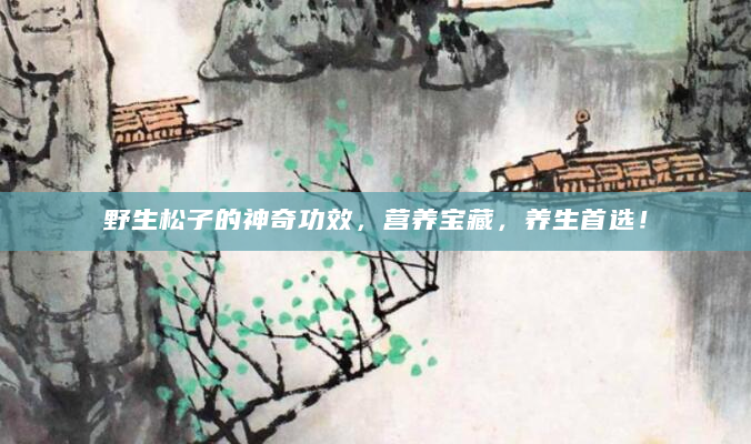 野生松子的神奇功效，营养宝藏，养生首选！