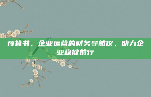 预算书，企业运营的财务导航仪，助力企业稳健前行