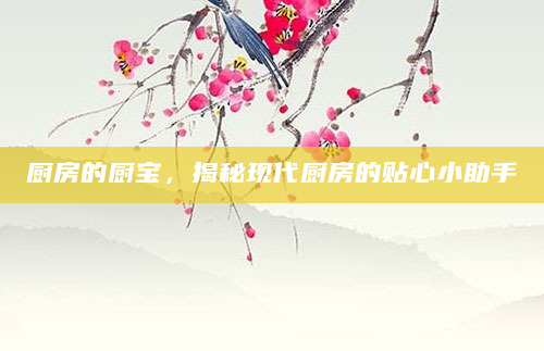 厨房的厨宝，揭秘现代厨房的贴心小助手