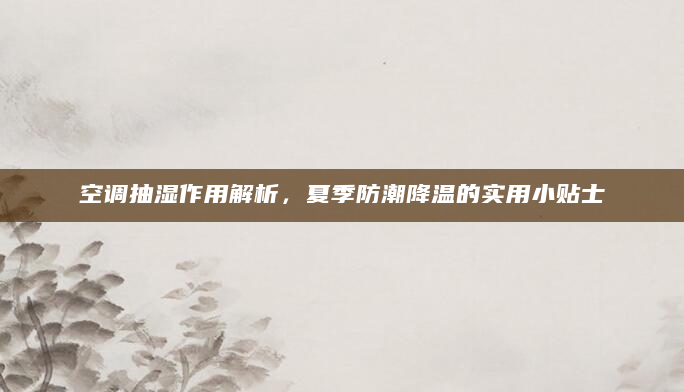 空调抽湿作用解析，夏季防潮降温的实用小贴士