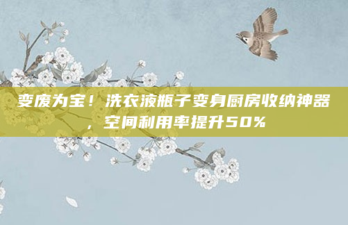 变废为宝！洗衣液瓶子变身厨房收纳神器，空间利用率提升50%