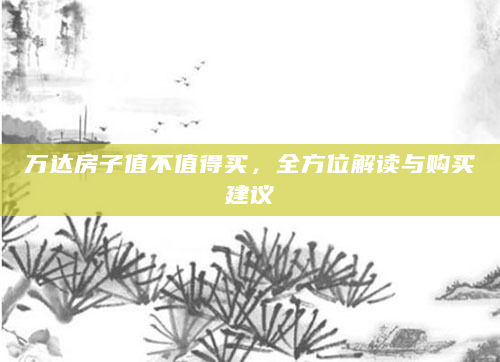 万达房子值不值得买，全方位解读与购买建议