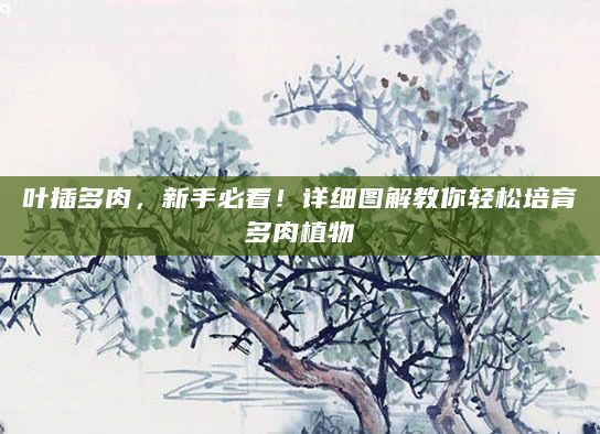叶插多肉，新手必看！详细图解教你轻松培育多肉植物