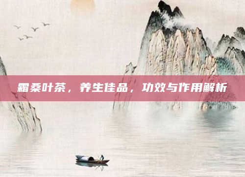 霜桑叶茶，养生佳品，功效与作用解析