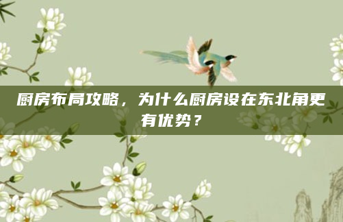 厨房布局攻略，为什么厨房设在东北角更有优势？