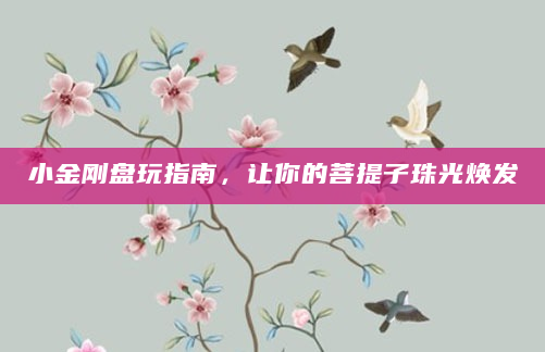 小金刚盘玩指南，让你的菩提子珠光焕发