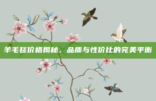 羊毛毯价格揭秘，品质与性价比的完美平衡