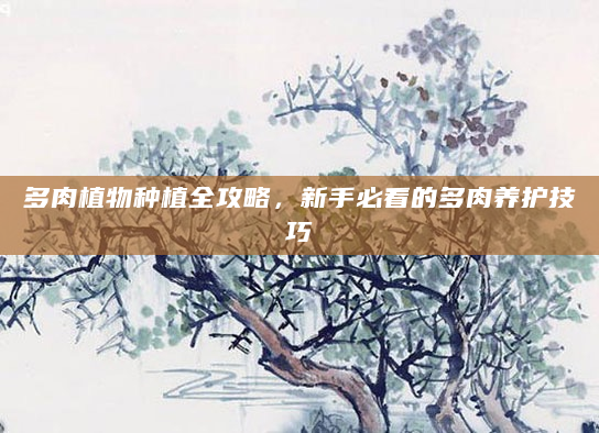 多肉植物种植全攻略，新手必看的多肉养护技巧