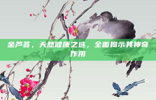金芦荟，天然健康之选，全面揭示其神奇作用