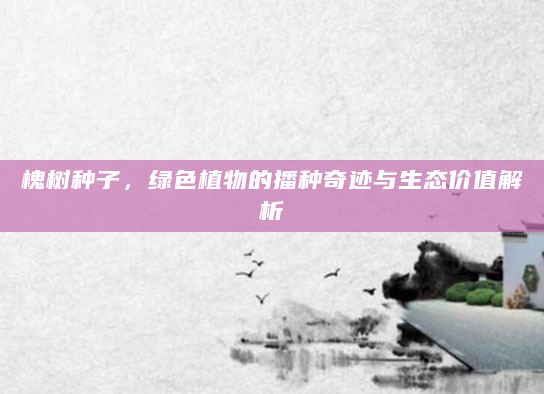 槐树种子，绿色植物的播种奇迹与生态价值解析