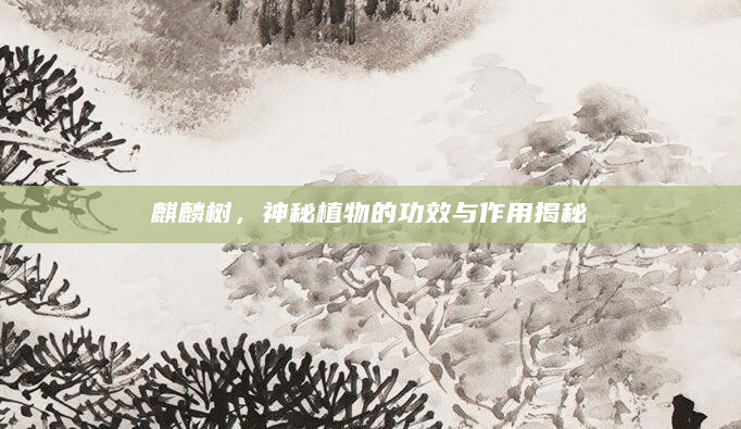 麒麟树，神秘植物的功效与作用揭秘