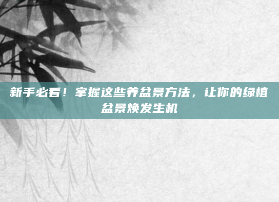 新手必看！掌握这些养盆景方法，让你的绿植盆景焕发生机