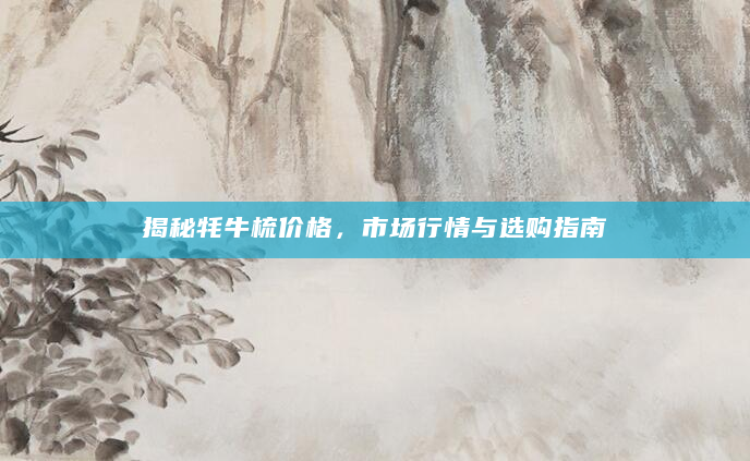 揭秘牦牛梳价格，市场行情与选购指南