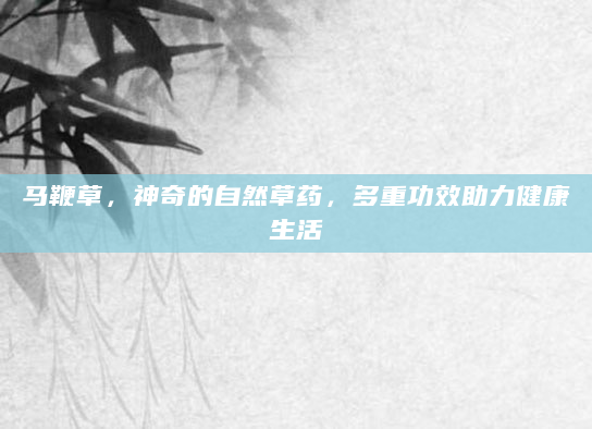 马鞭草，神奇的自然草药，多重功效助力健康生活