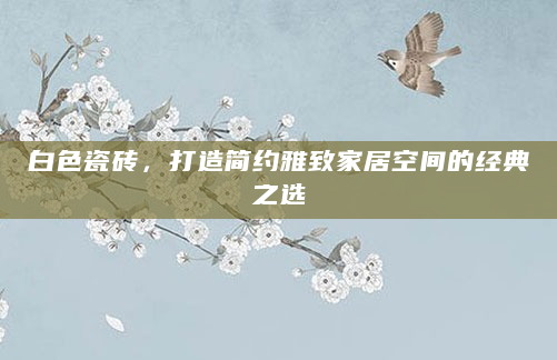 白色瓷砖，打造简约雅致家居空间的经典之选
