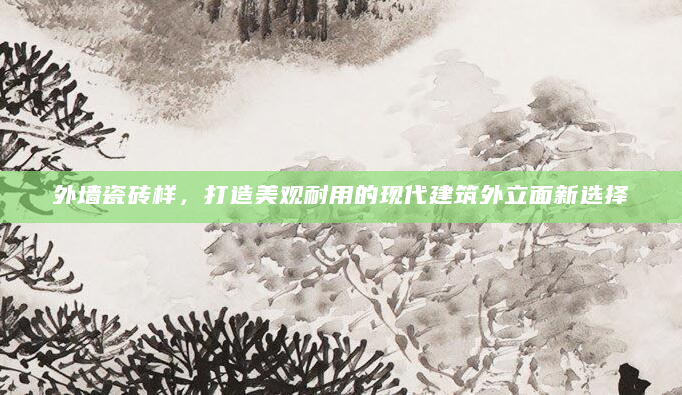 外墙瓷砖样，打造美观耐用的现代建筑外立面新选择