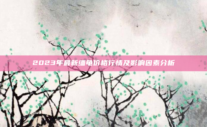 2023年最新缅龟价格行情及影响因素分析