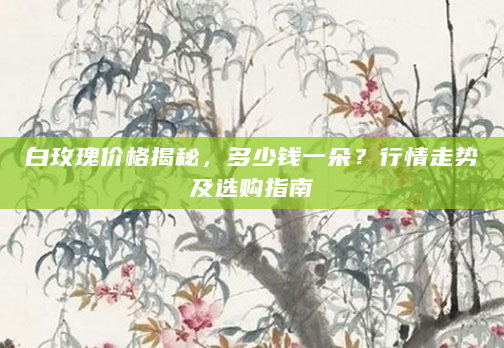 白玫瑰价格揭秘，多少钱一朵？行情走势及选购指南