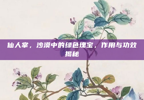 仙人掌，沙漠中的绿色瑰宝，作用与功效揭秘