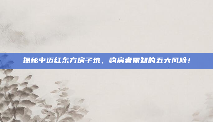 揭秘中迈红东方房子坑，购房者需知的五大风险！