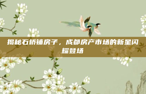 揭秘石桥铺房子，成都房产市场的新星闪耀登场