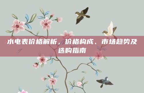 水电表价格解析，价格构成、市场趋势及选购指南