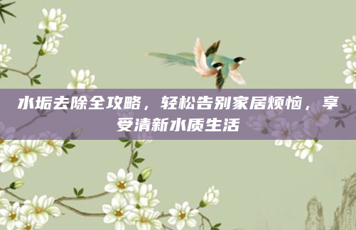 水垢去除全攻略，轻松告别家居烦恼，享受清新水质生活