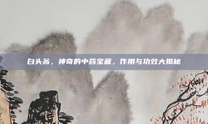 白头翁，神奇的中药宝藏，作用与功效大揭秘