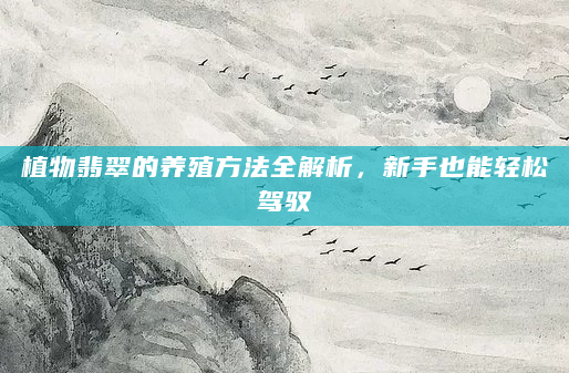 植物翡翠的养殖方法全解析，新手也能轻松驾驭