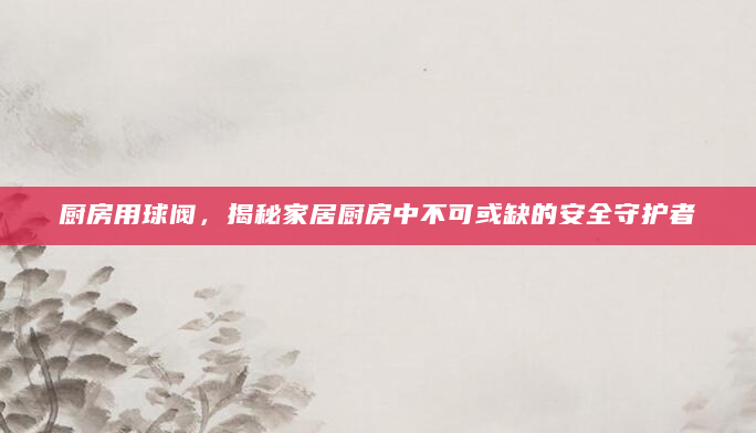 厨房用球阀，揭秘家居厨房中不可或缺的安全守护者