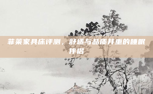 菲莱家具床评测，舒适与品质并重的睡眠伴侣