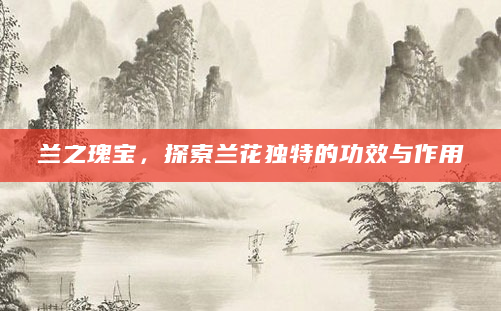 兰之瑰宝，探索兰花独特的功效与作用