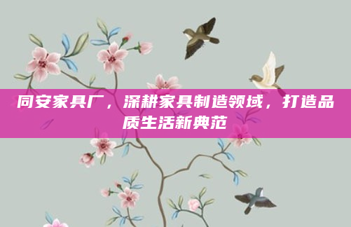 同安家具厂，深耕家具制造领域，打造品质生活新典范