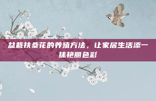盆栽扶桑花的养殖方法，让家居生活添一抹艳丽色彩