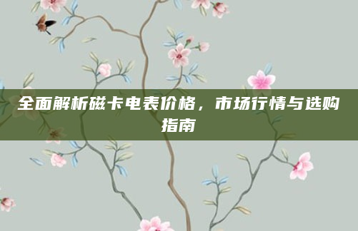 全面解析磁卡电表价格，市场行情与选购指南