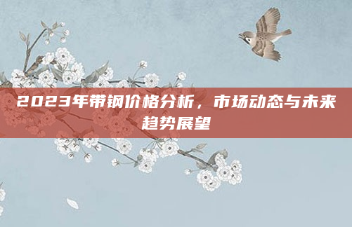 2023年带钢价格分析，市场动态与未来趋势展望