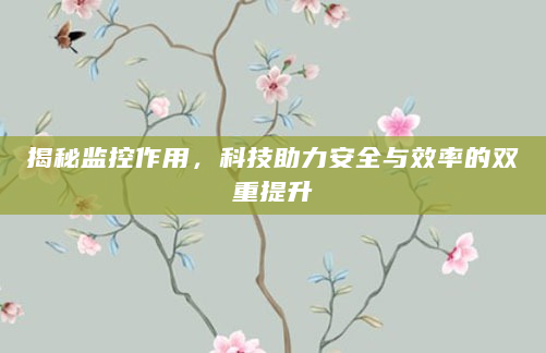 揭秘监控作用，科技助力安全与效率的双重提升