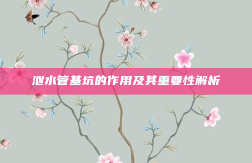 泄水管基坑的作用及其重要性解析