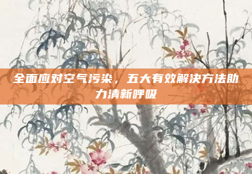 全面应对空气污染，五大有效解决方法助力清新呼吸