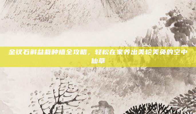 金钗石斛盆栽种植全攻略，轻松在家养出美轮美奂的空中仙草