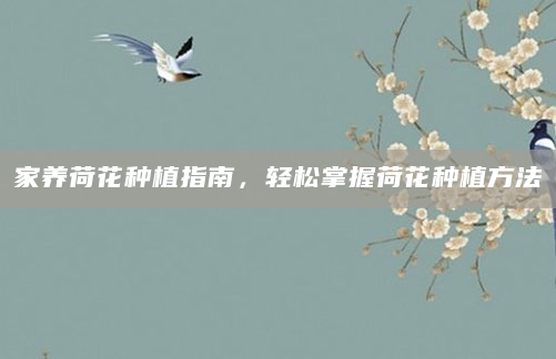家养荷花种植指南，轻松掌握荷花种植方法